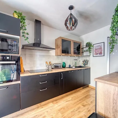 Beautiful Contemporary With Parking Apartment Grenoble